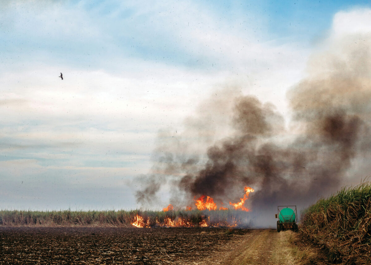 Incendie dans un champs causé par la sécheresse